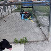 Tobey Dog Park photo 1